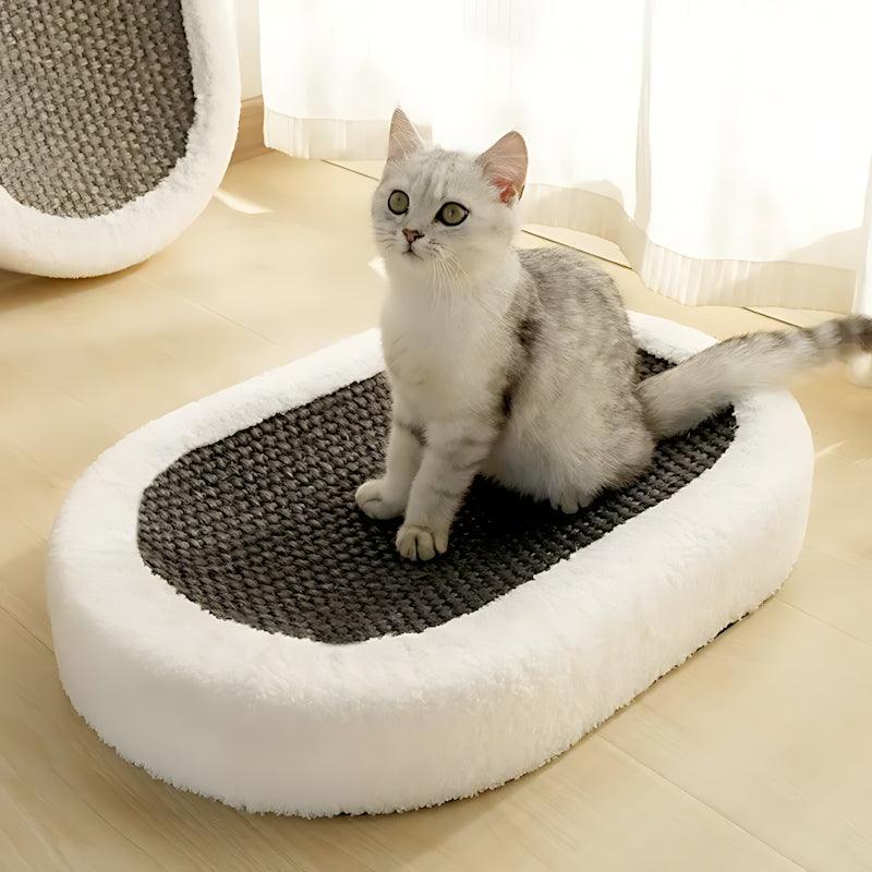 Cat Beds