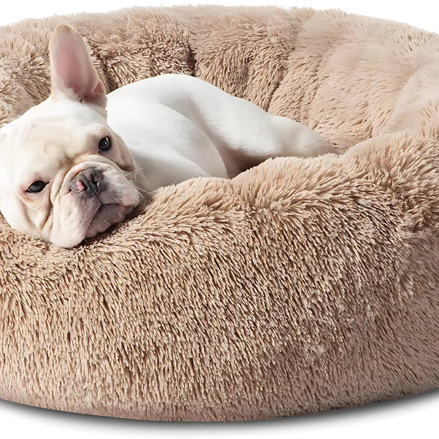 Dog beds