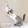 Bird Game - Interactive Cat Toy