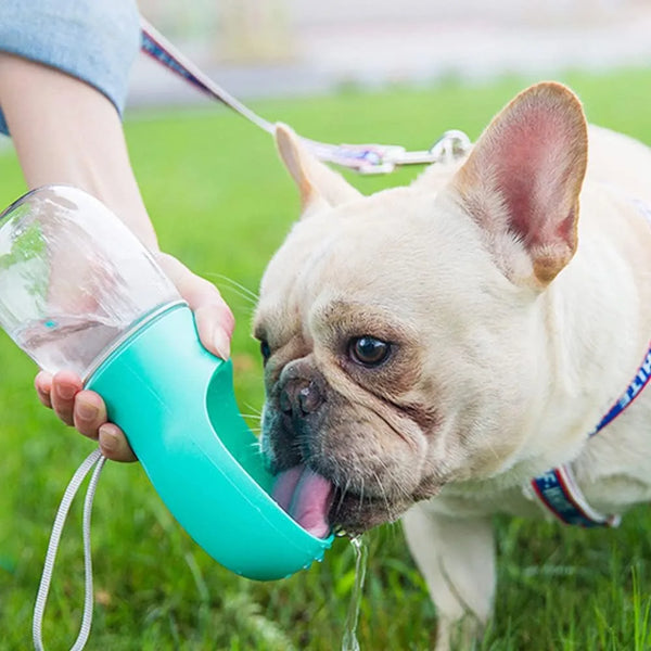 Leak-Proof Portable Dog Water Bottle with Bowl