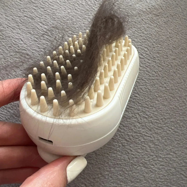 pet brush with steam spray system