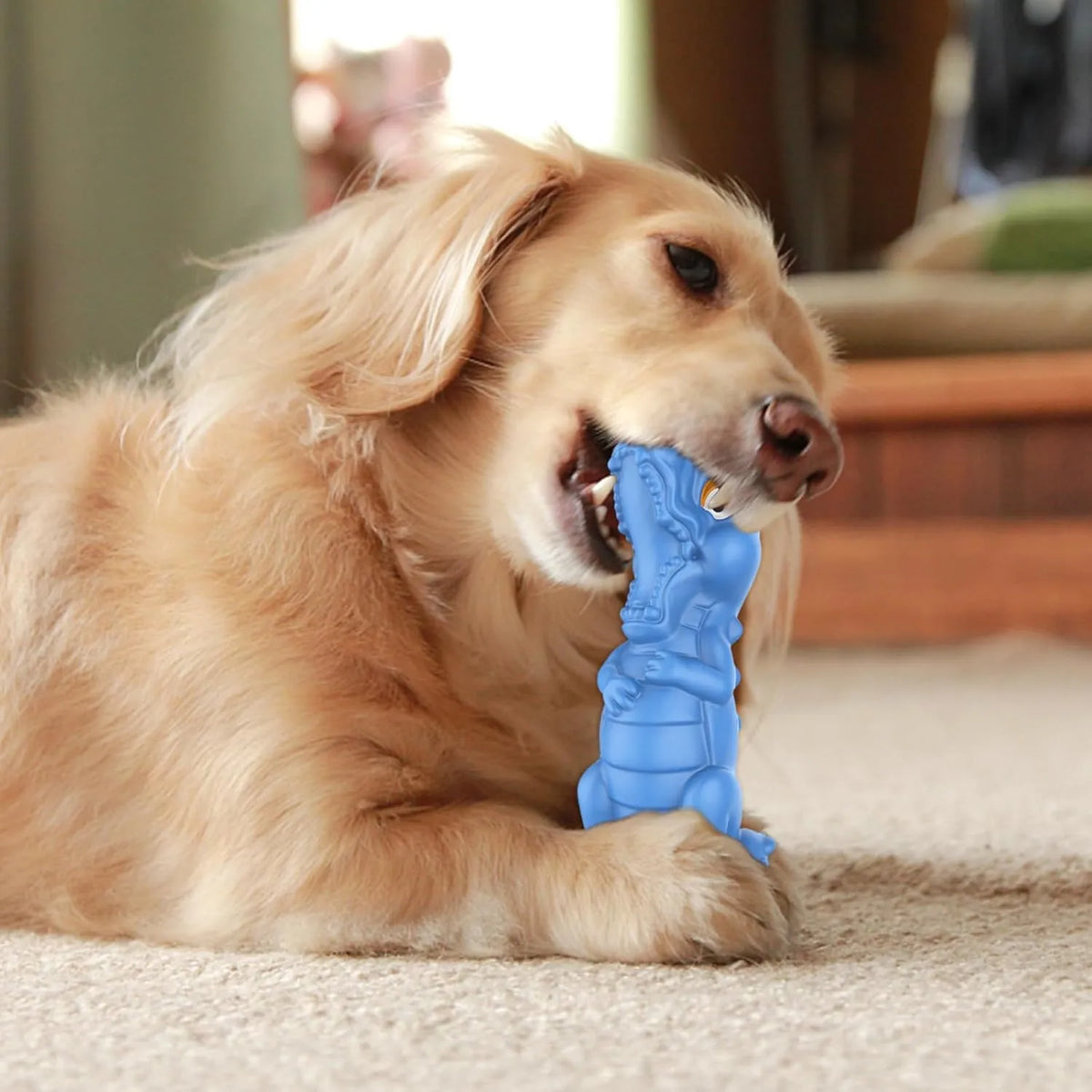 Dog Chew Toys for Aggressive Chewers