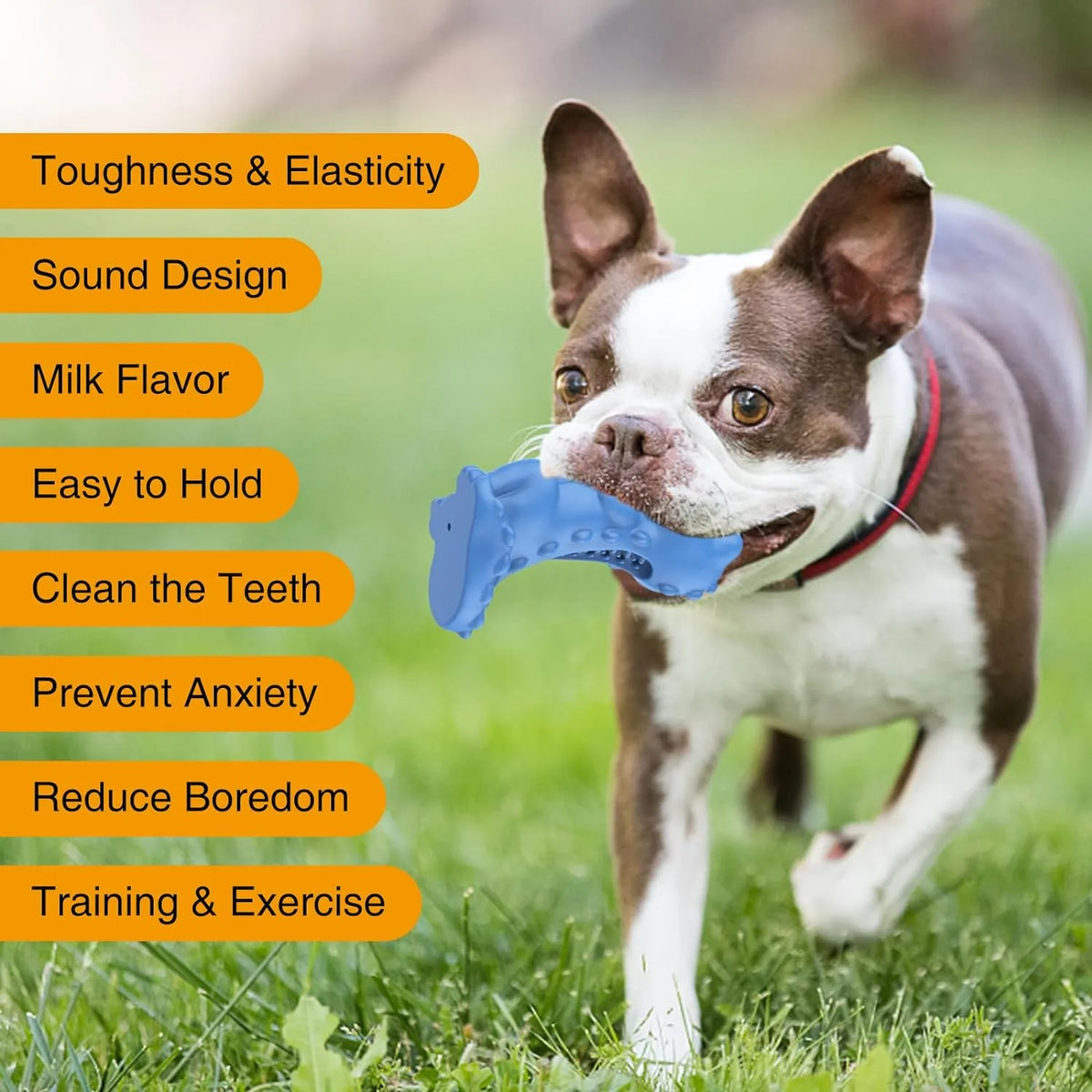 Dog Chew Toys for Aggressive Chewers