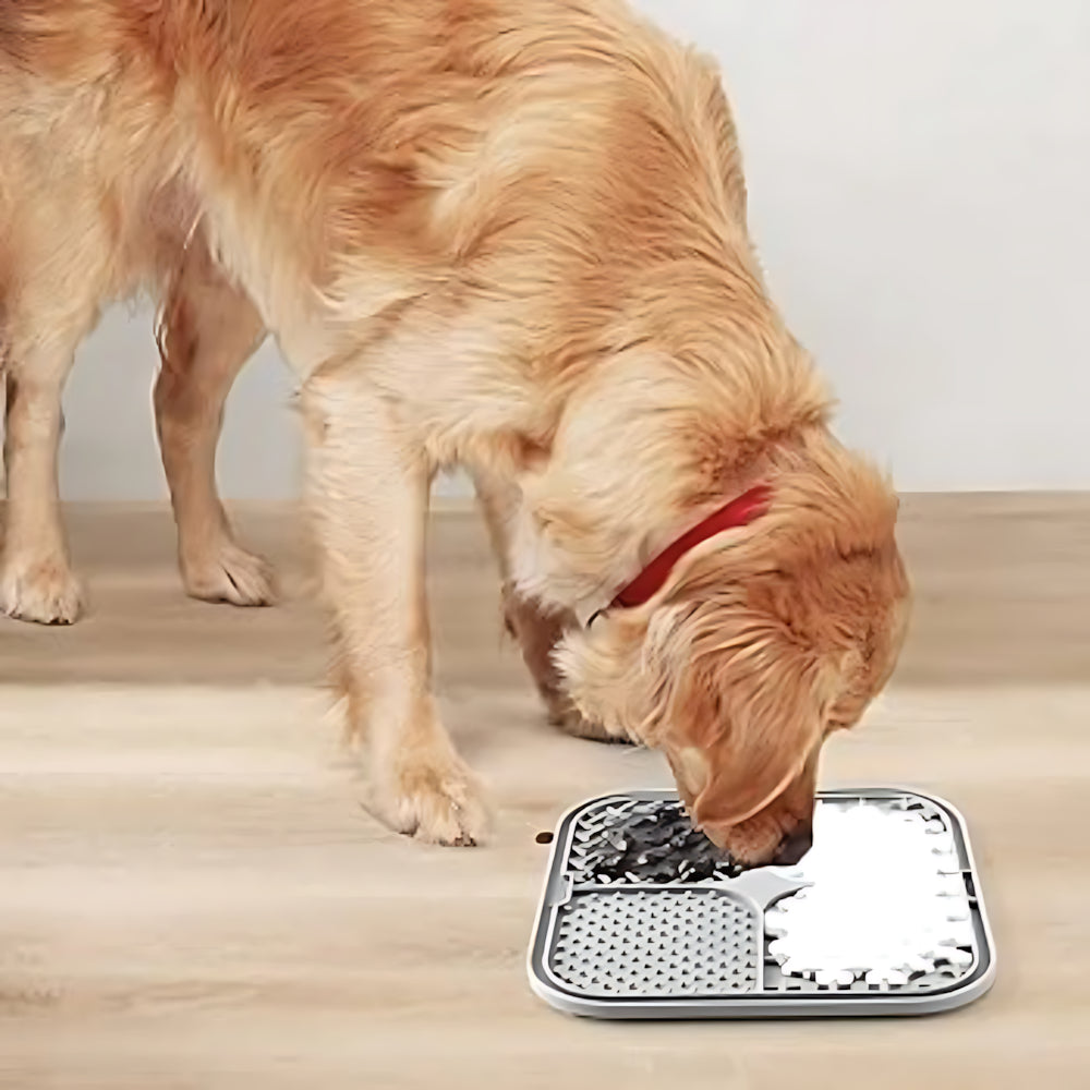 Dog Activity Lick Mat