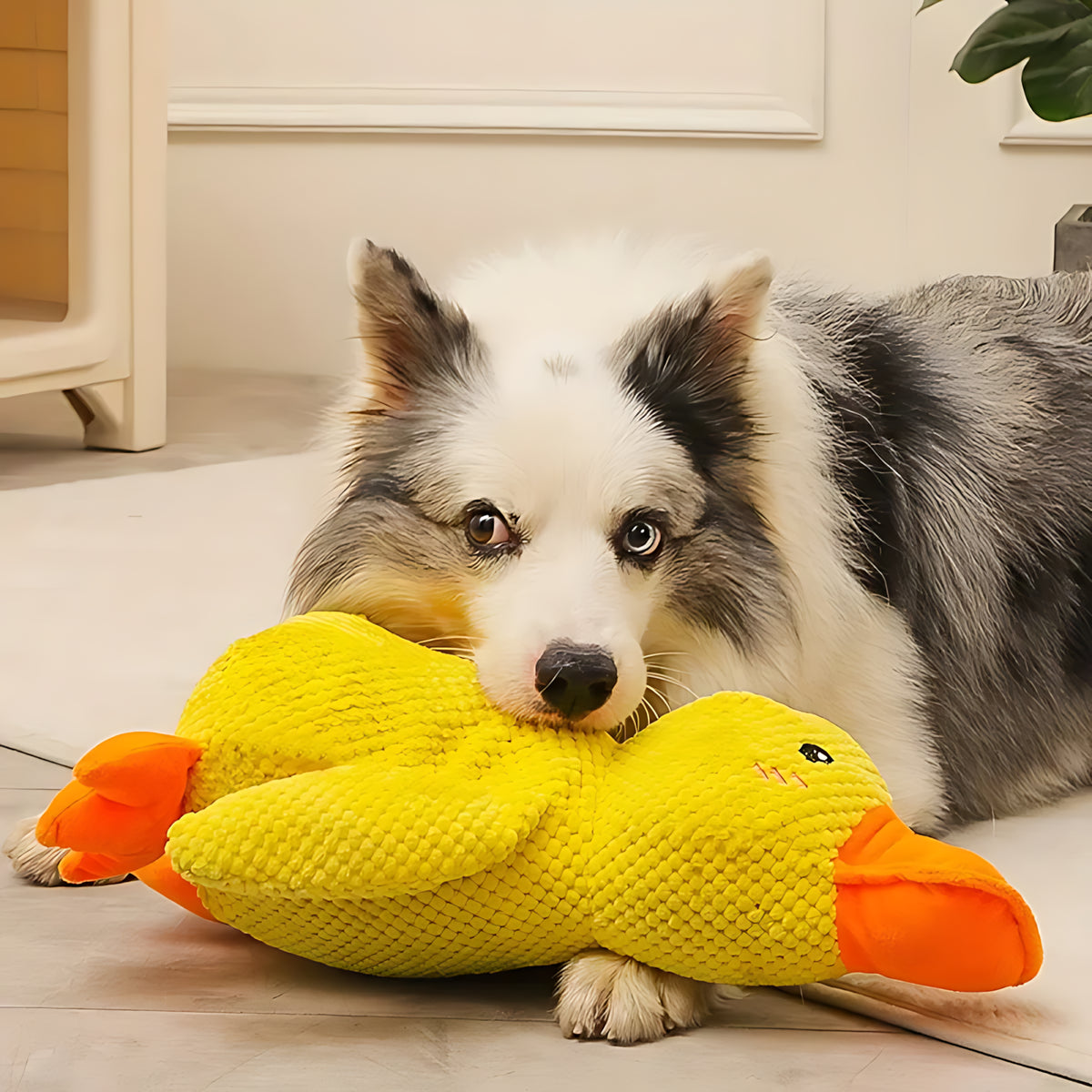 Anti-Stress Duck Toy