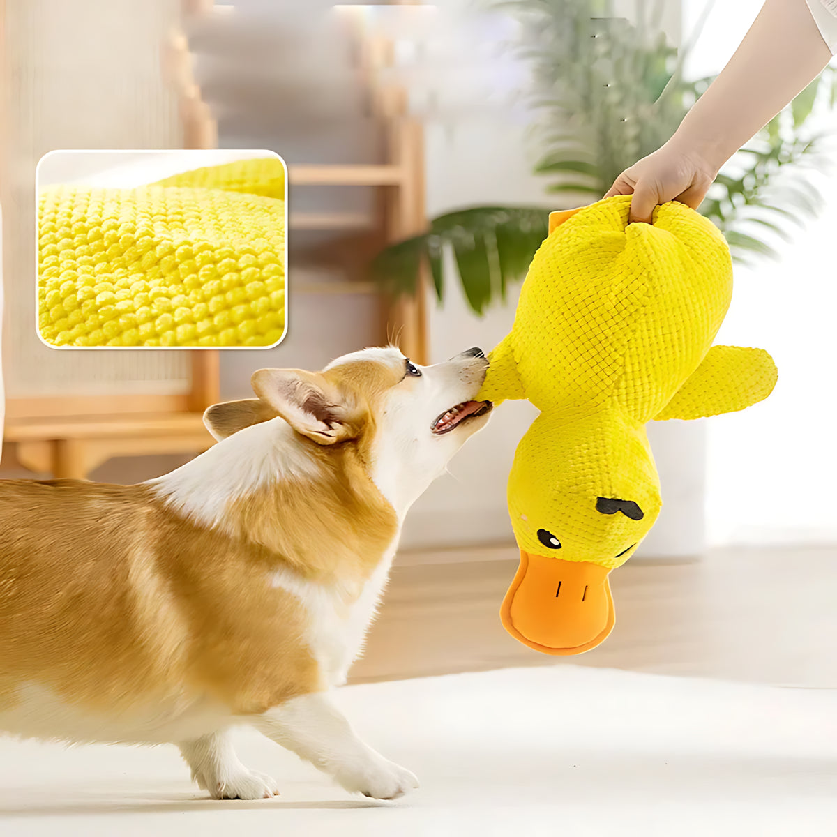 Anti-Stress Duck Toy